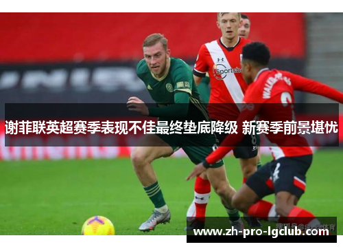 谢菲联英超赛季表现不佳最终垫底降级 新赛季前景堪忧