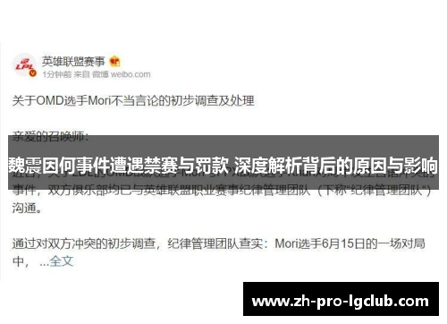 魏震因何事件遭遇禁赛与罚款 深度解析背后的原因与影响 魏震因何事件遭遇禁赛与罚款 深度解析背后的原因与影响